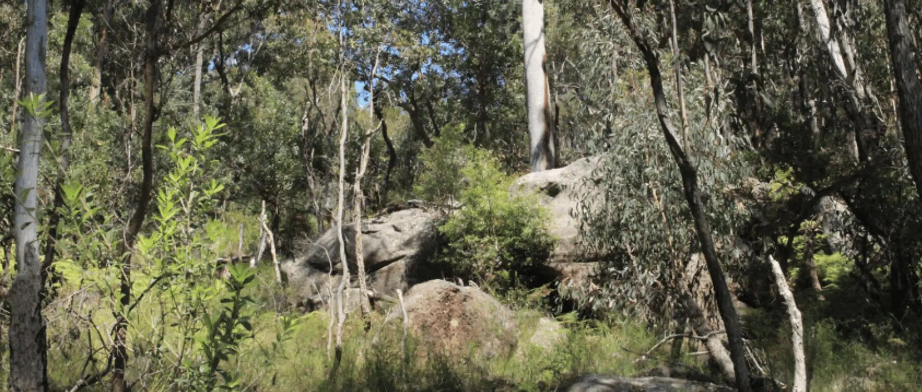 Belrose Property and National Park